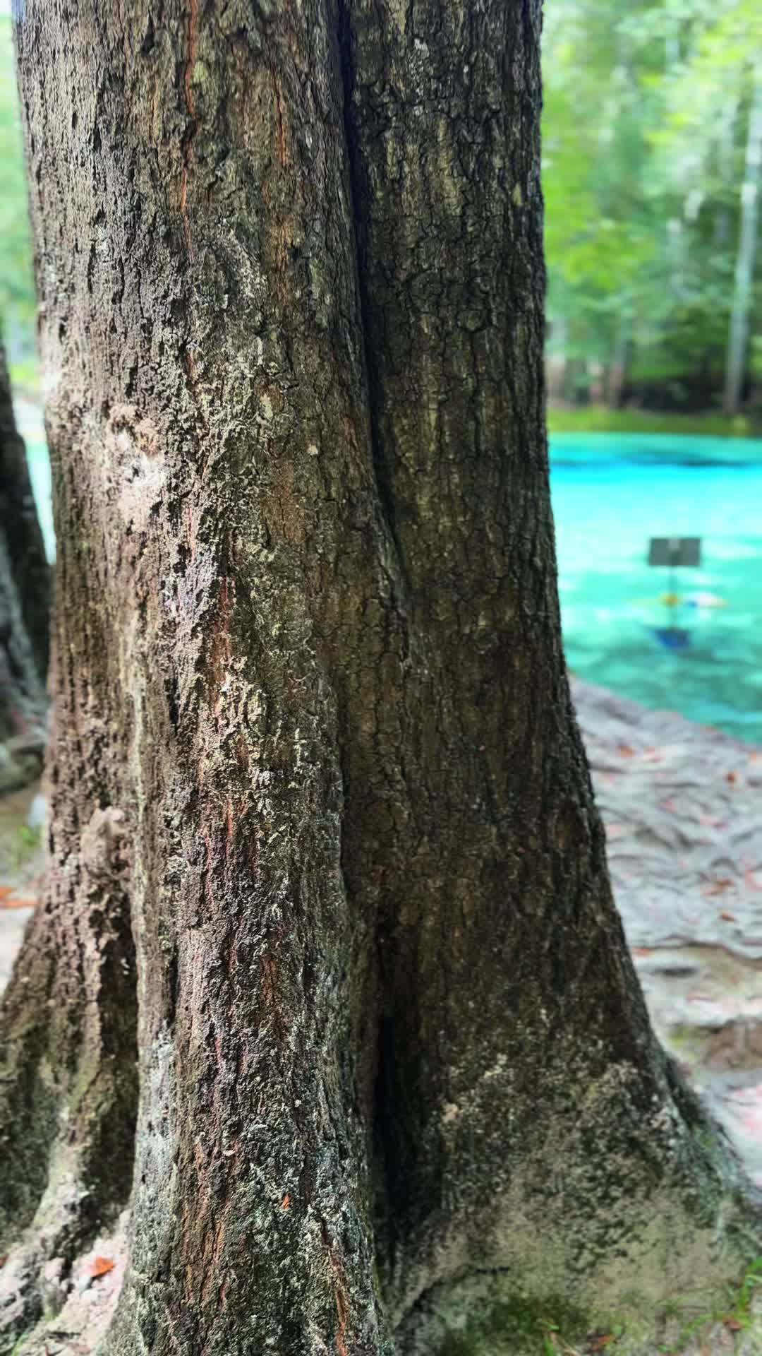 @Gilchrist Blue Clear Kayaking