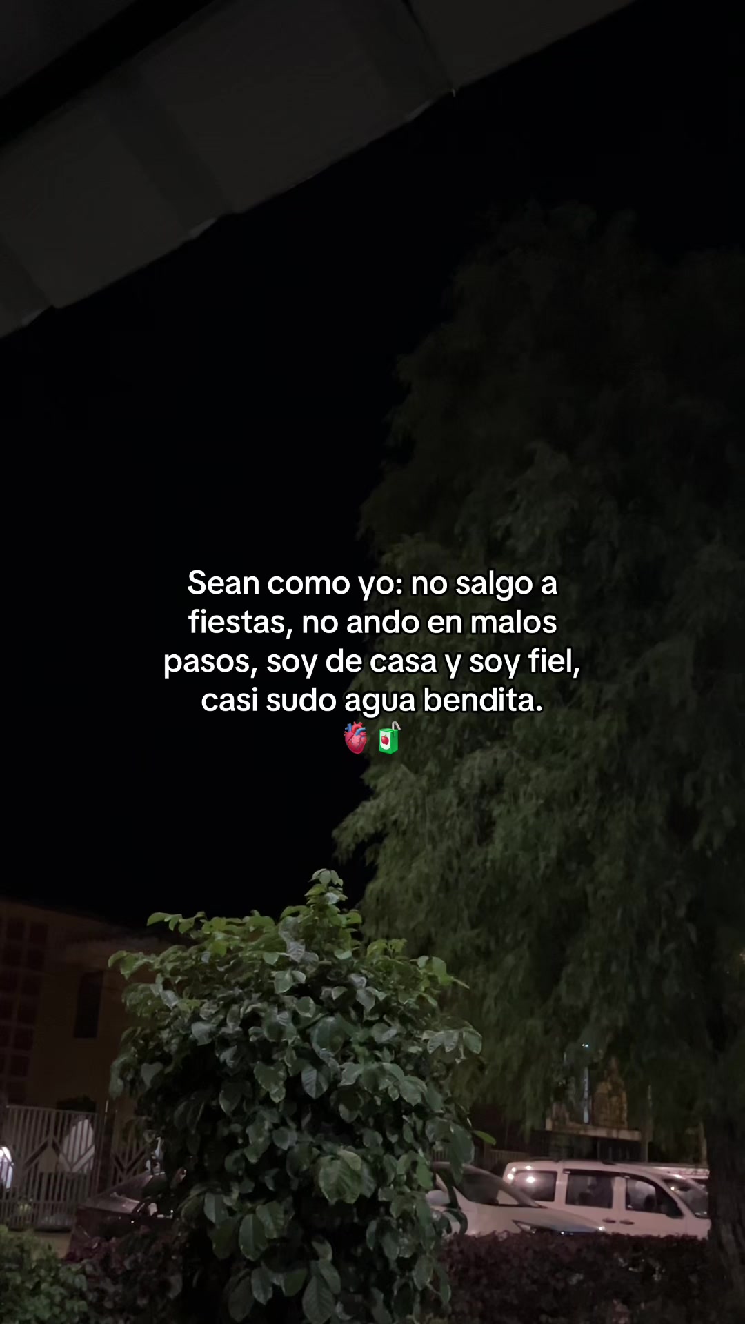 @Gatocix 🐱