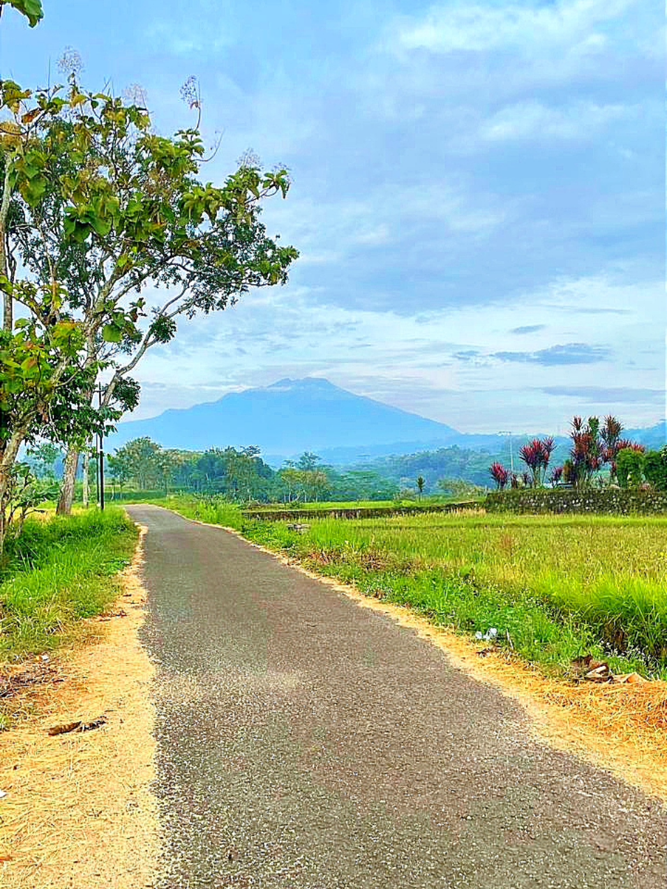 @Diah Putri Ramadhani