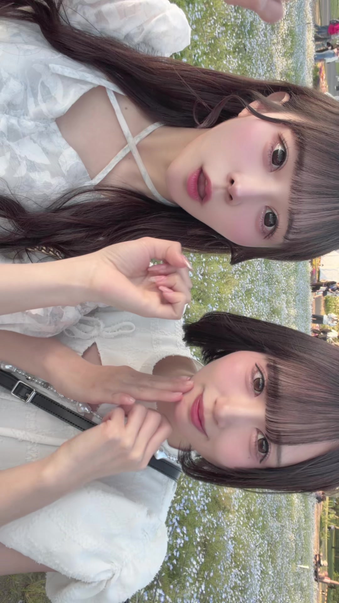 @八雲です