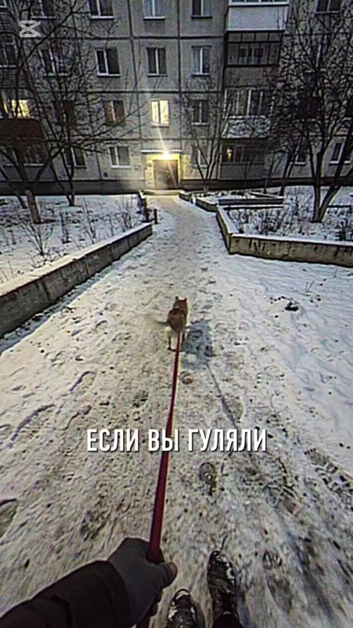 @🐸~тгк:ƈօLLɖ1ӼӼ~🐸