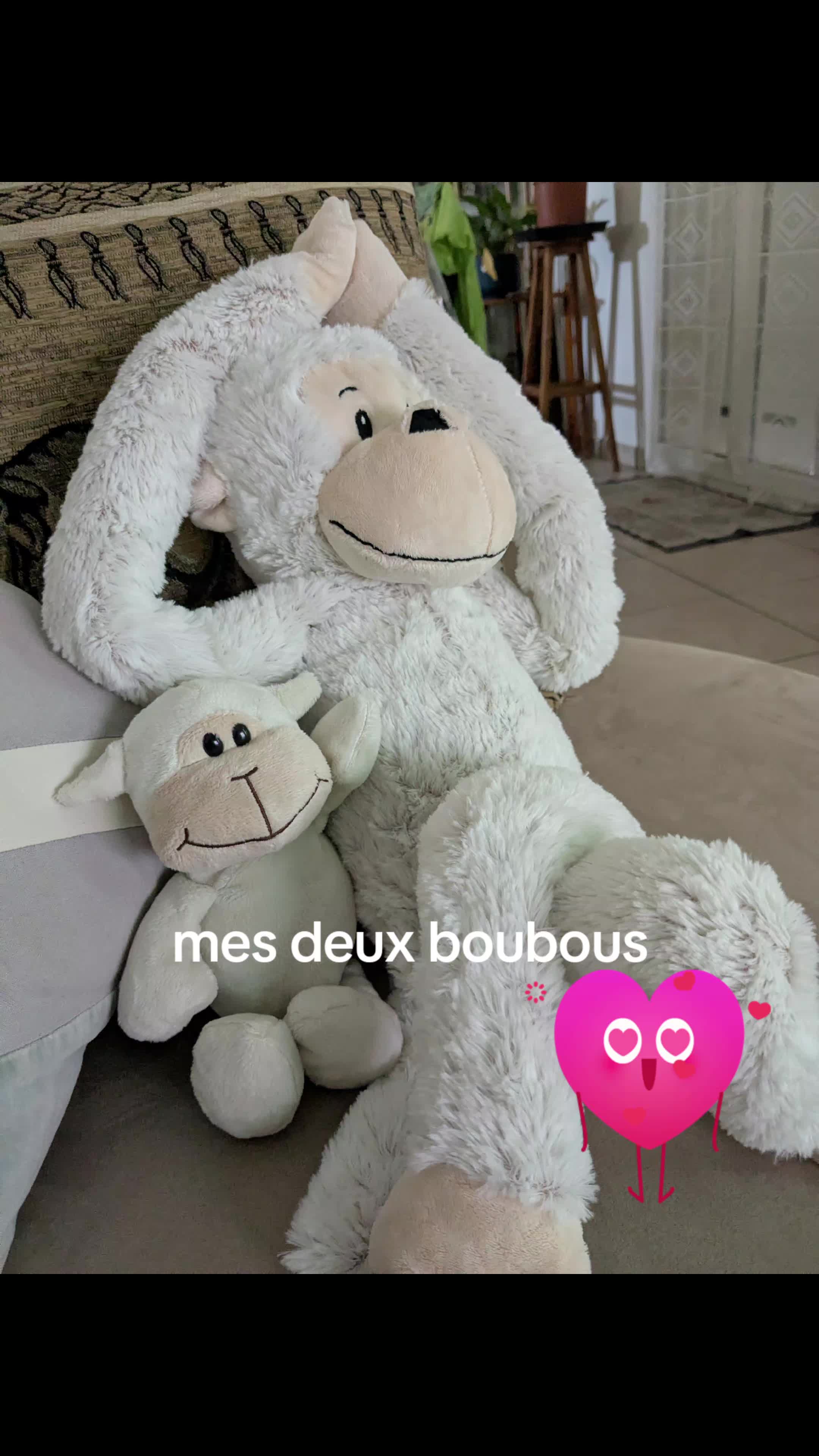 @sylvie rayonnante