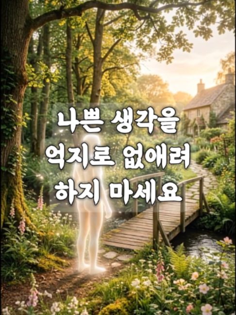 @빛의 씨앗