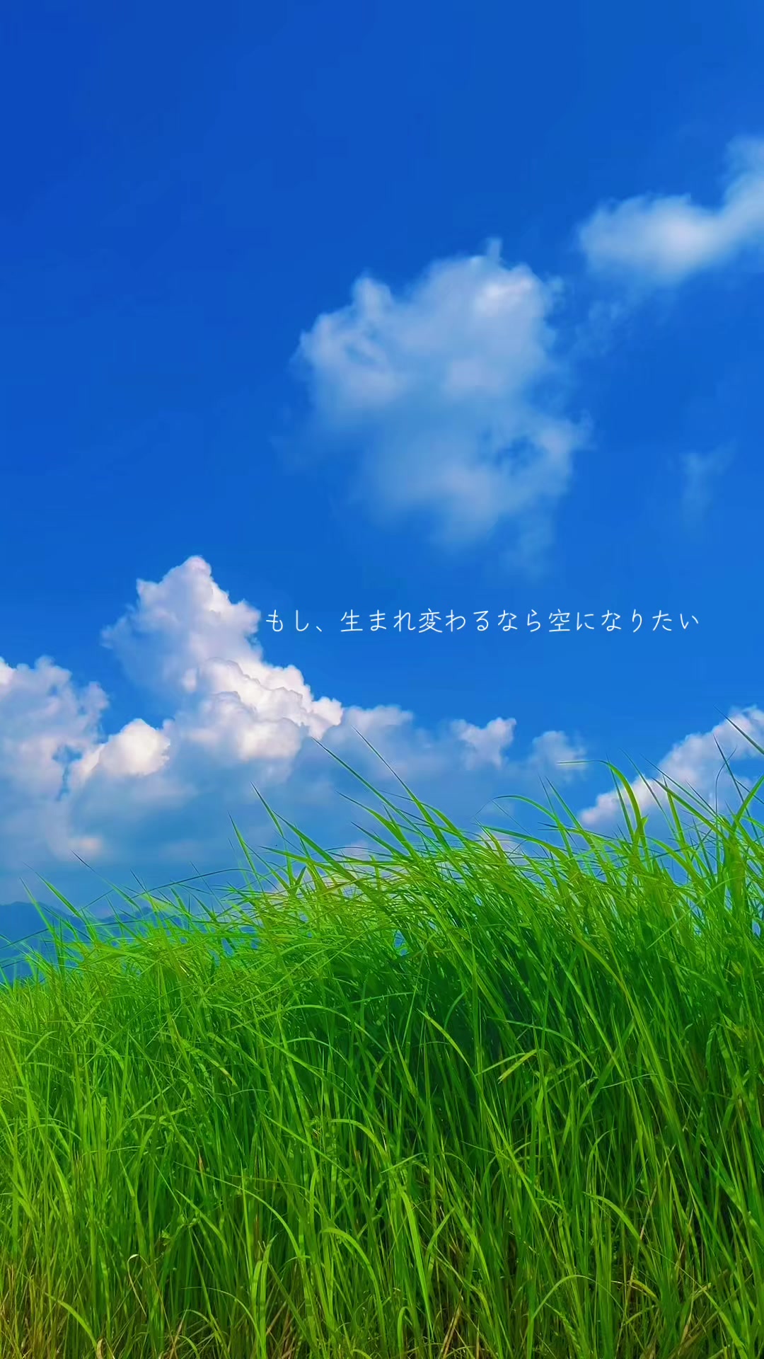 @︎︎夏空