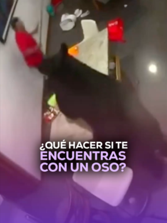 @MVS Noticias Monterrey