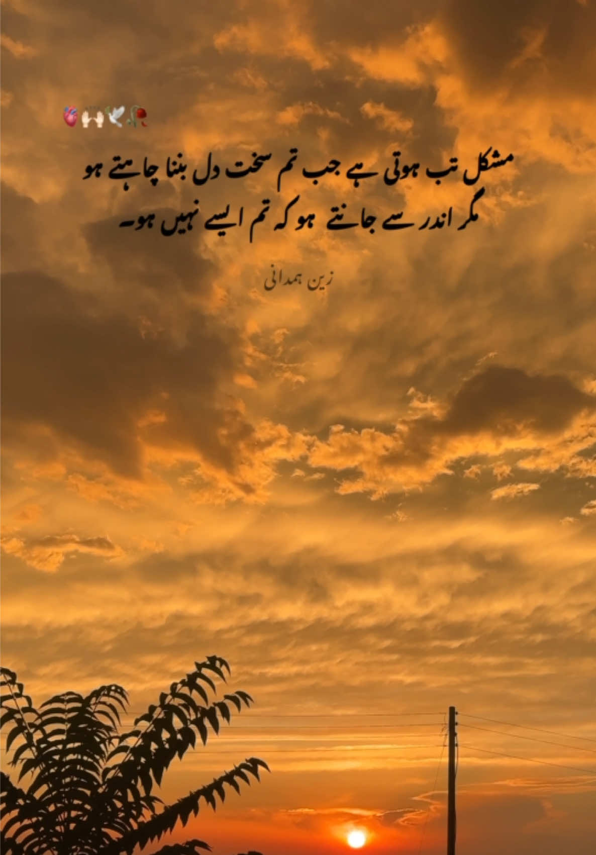 @Syed Zain