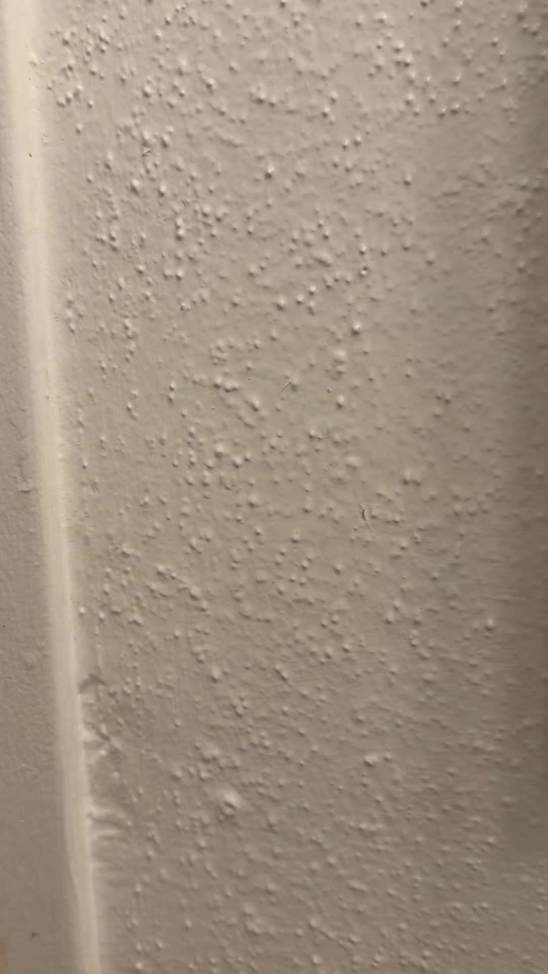 @•:*࿔❀𓆉︎❀ ࿔*:•