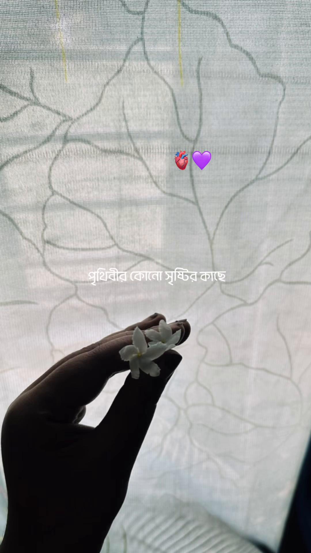 @🕊️