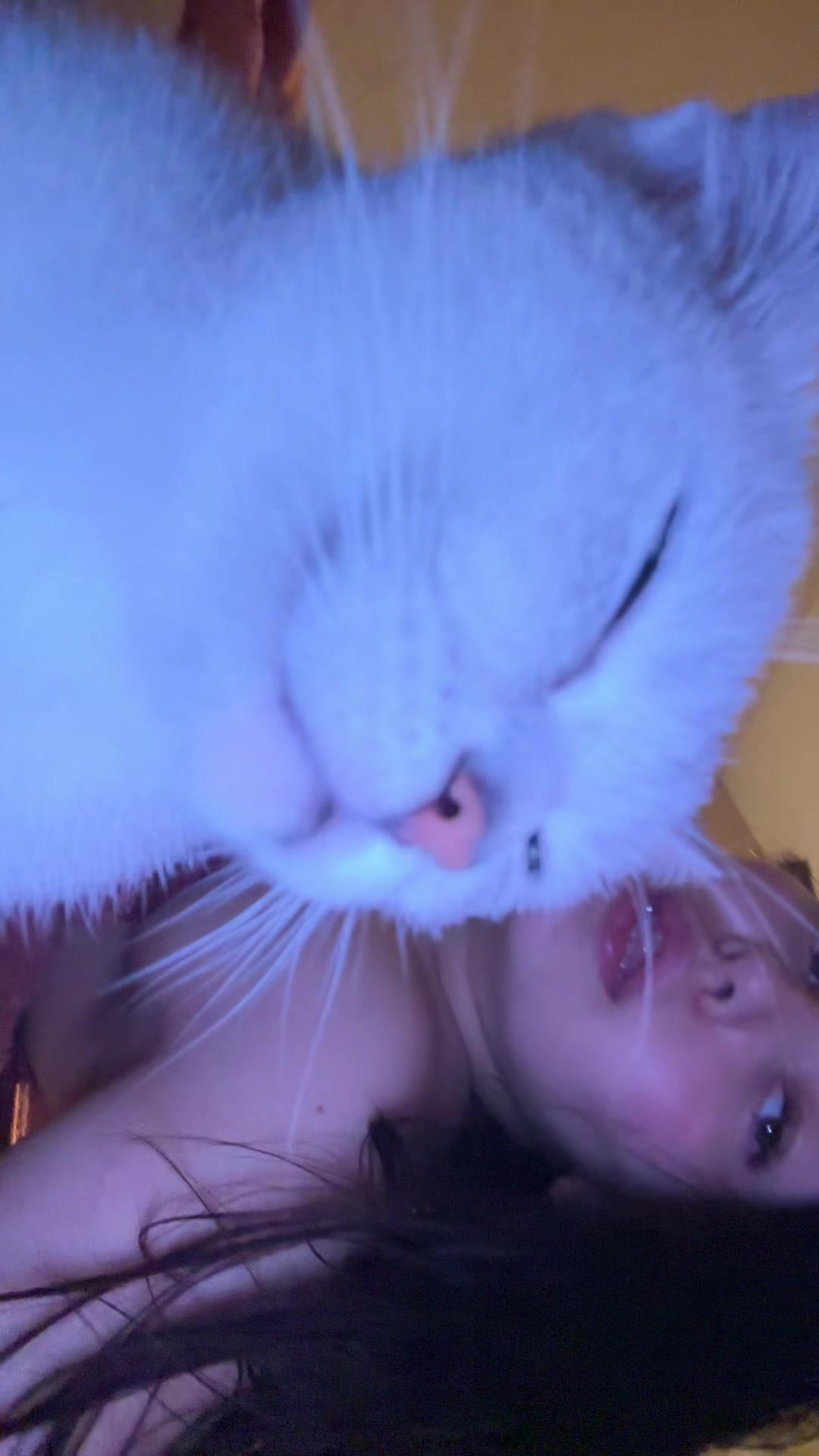 @𝐄 𝐍 𝐈 𝐆 𝐌 𝐀