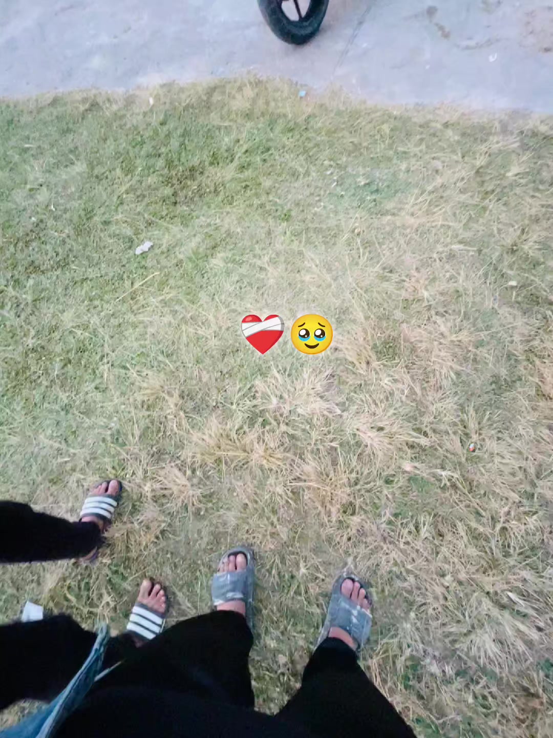 @ —͟͟͞͞ʜᴏꜱꜱᴇɴ࿐ ꪜ 