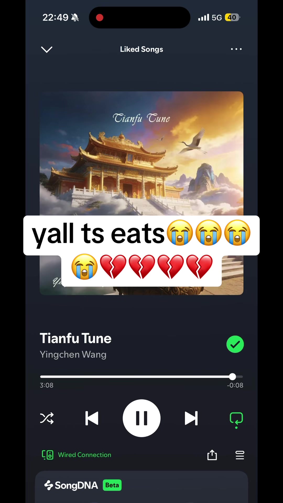 @sincapnaz
