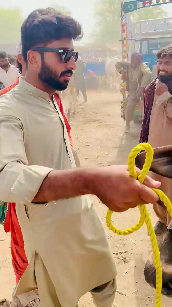 @Adil Fareed Kalwar 👑