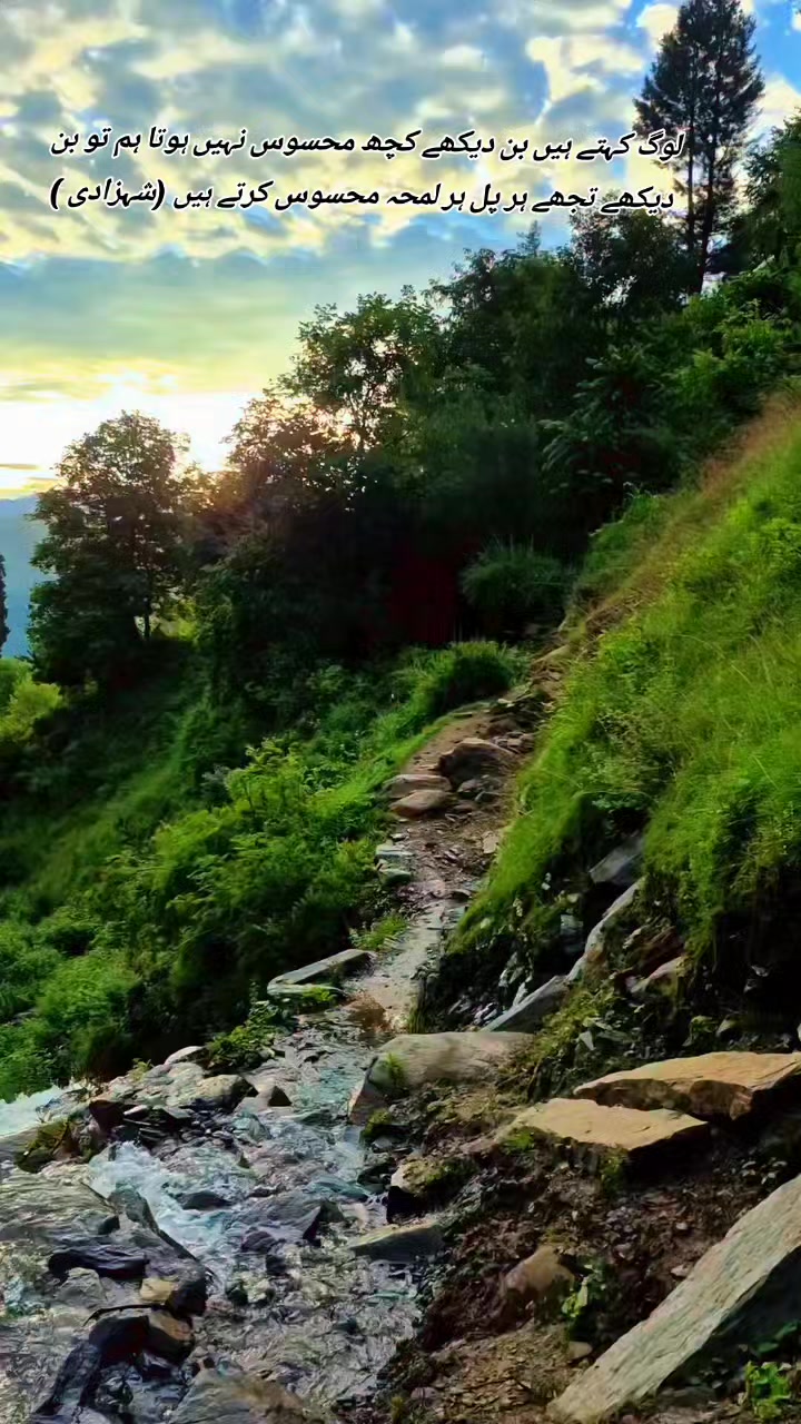 @💫❤️🔥دل کا بادشاہ❤️🔥💫