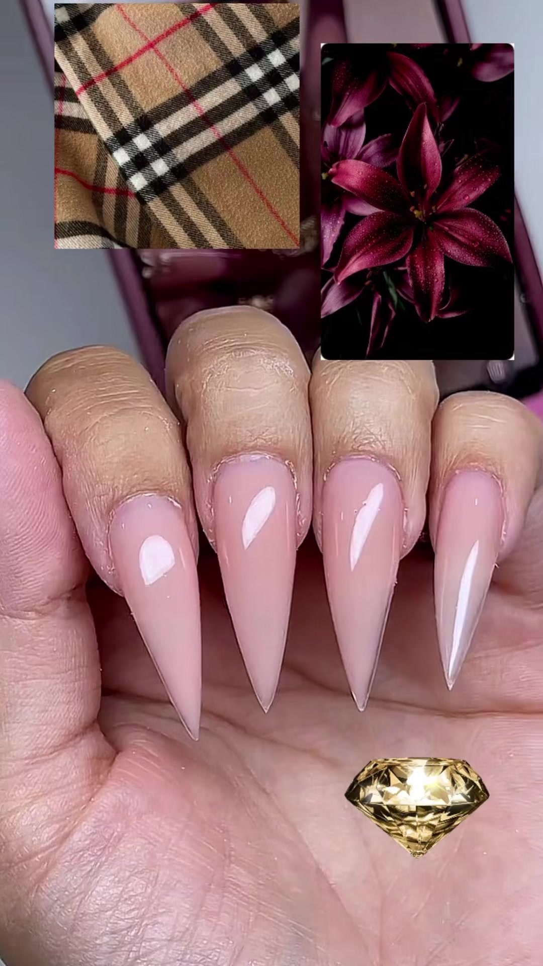 @clawsbytasmia ✨