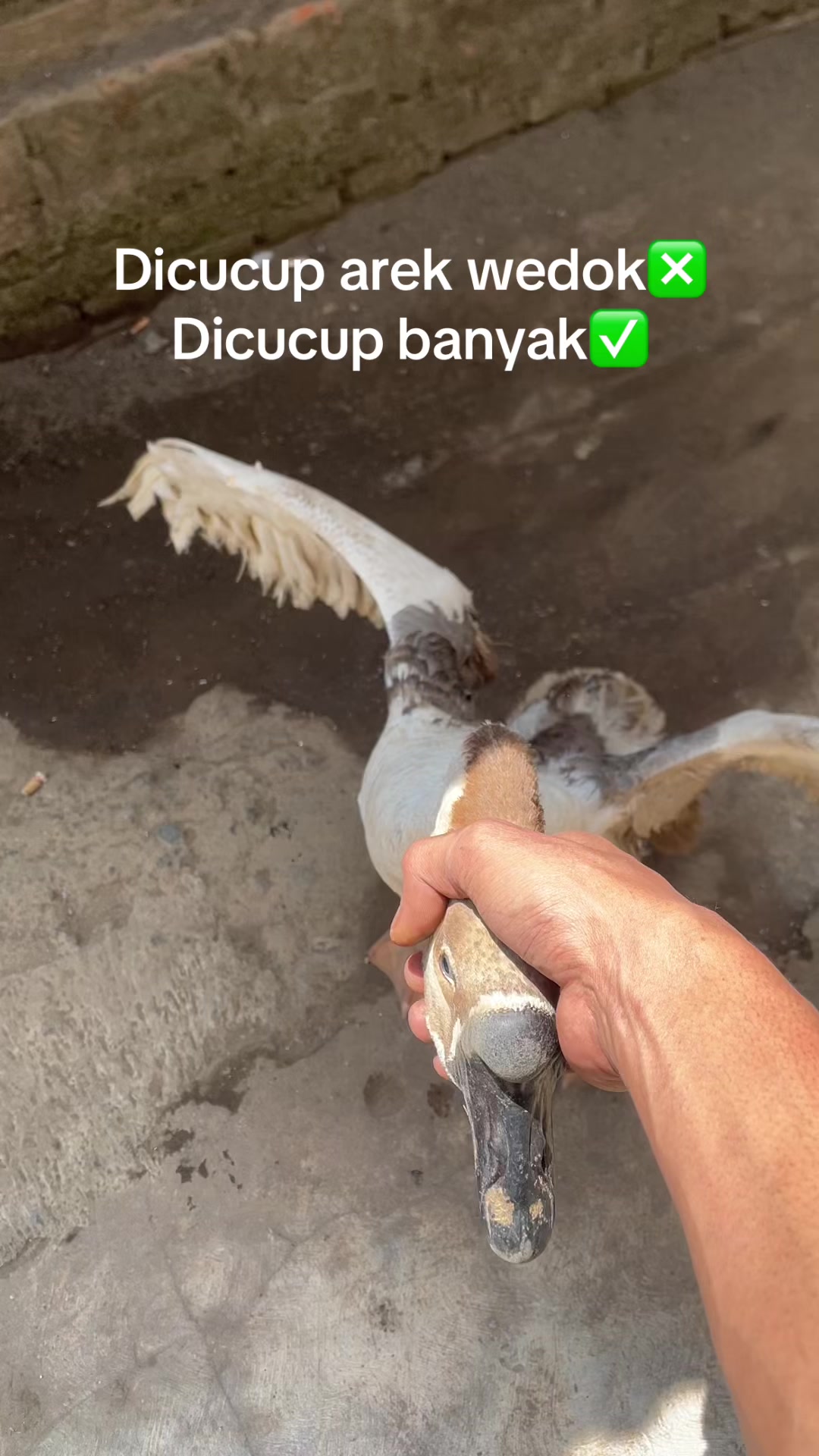 @samsulmarkipat