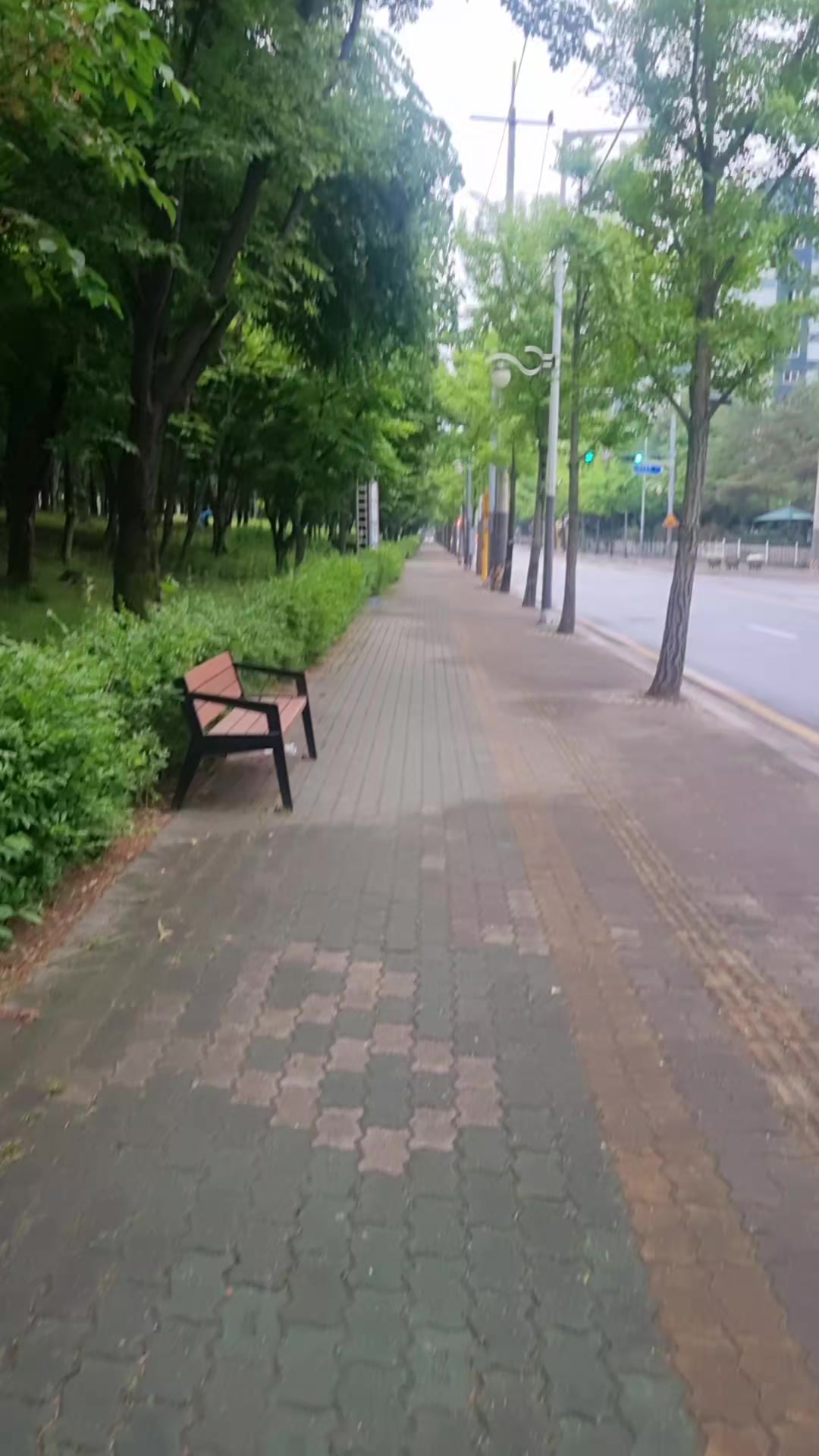 @앞잡이코리아