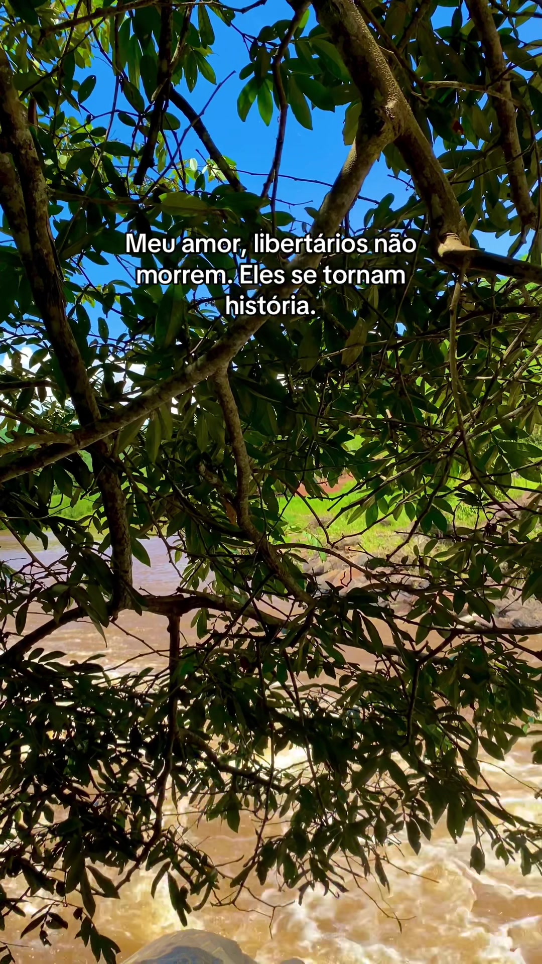 @Karine_andde