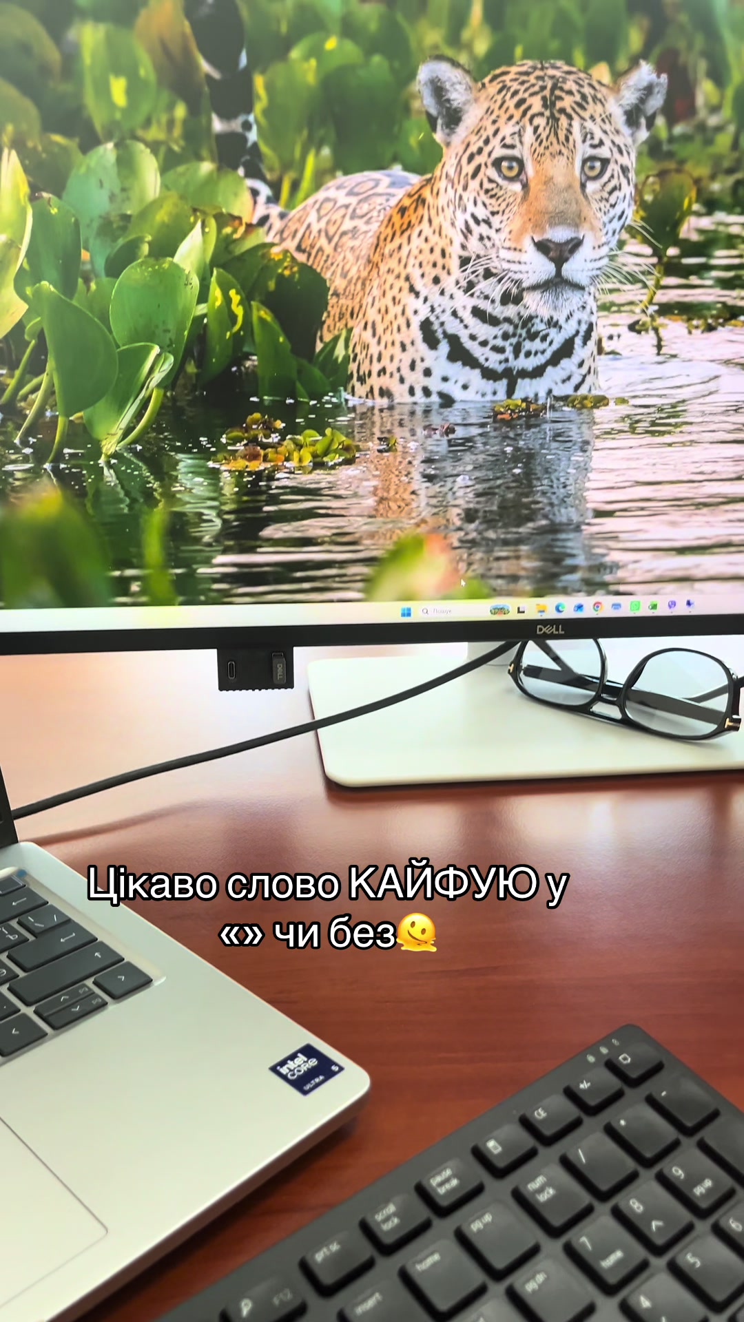 @Ndjd_k