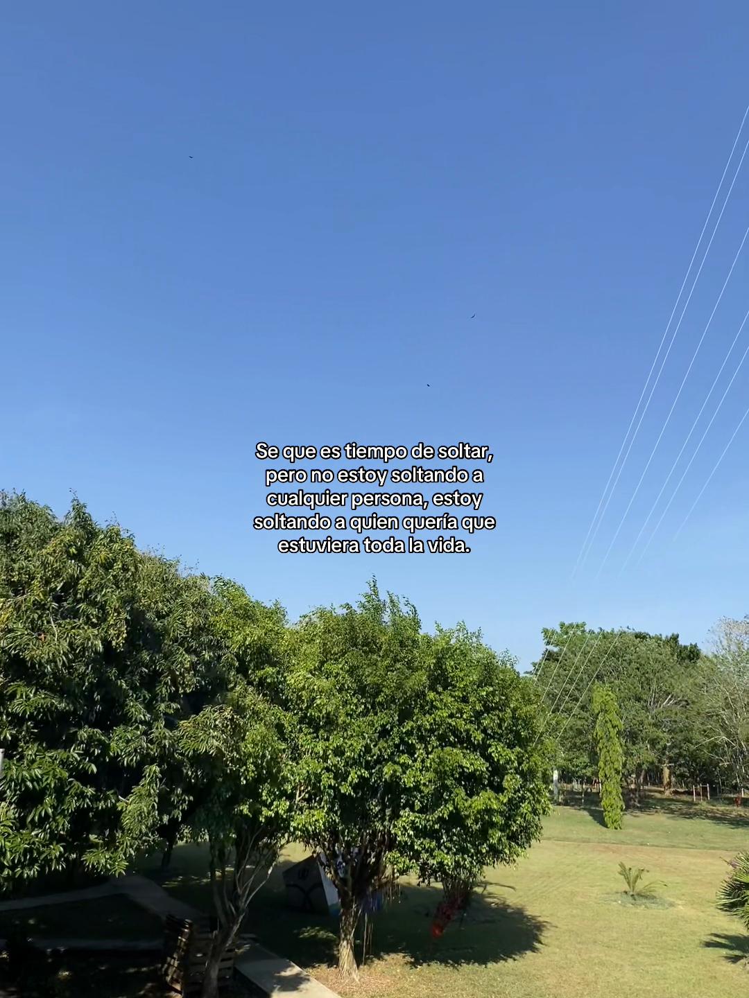 @ℒ𝒶 𝓅𝓁𝒶𝓃𝓉𝒾𝓉𝒶🌱