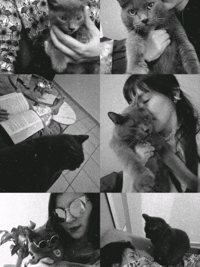 @Frida Miau🐈⬛