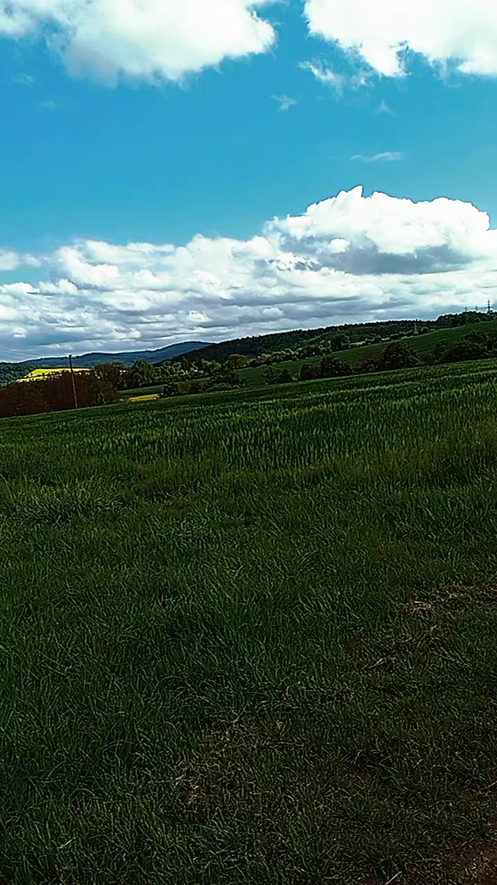 @🖤🇺🇦Nata🇺🇦 🖤
