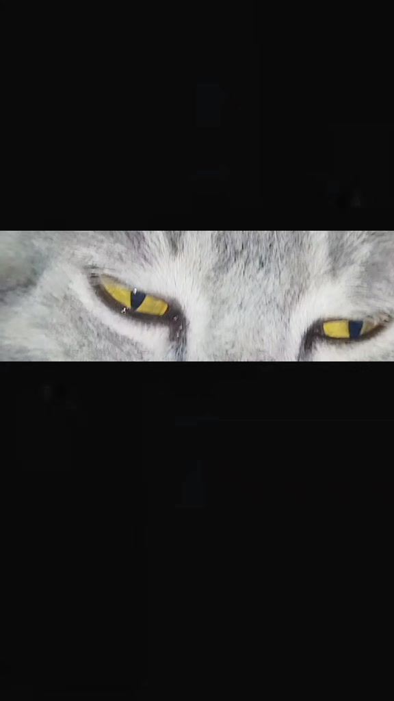 @༒𝐂𝐢𝐧𝐝𝐞𝐫𝐞𝐥𝐥𝐚༒