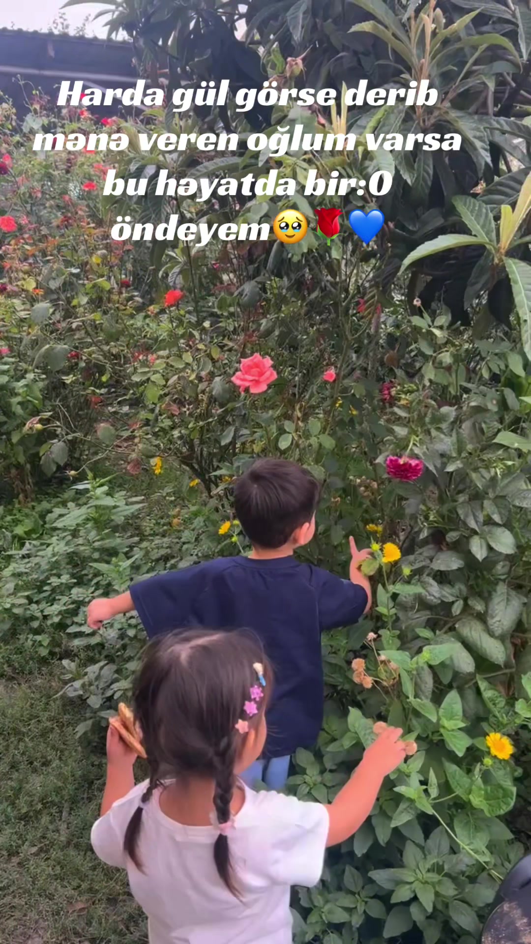 @Sabi.Dadı