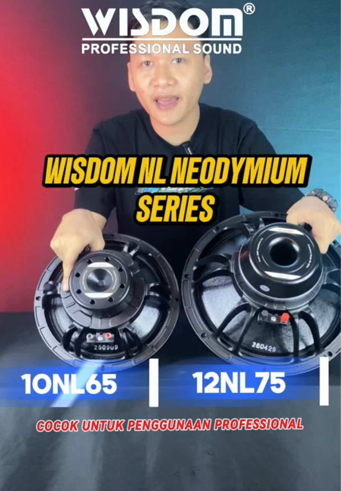 @Wisdom Pro Audio