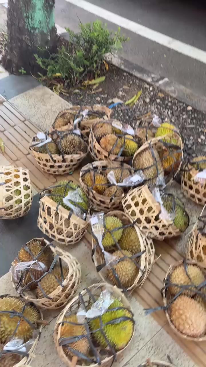 @Kenzhi Durian Tuban