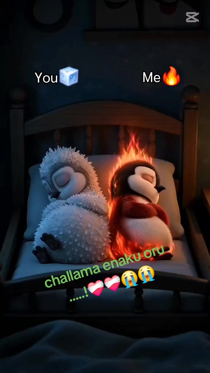 @đđđąđ°koushi Naween đąđ°đđ