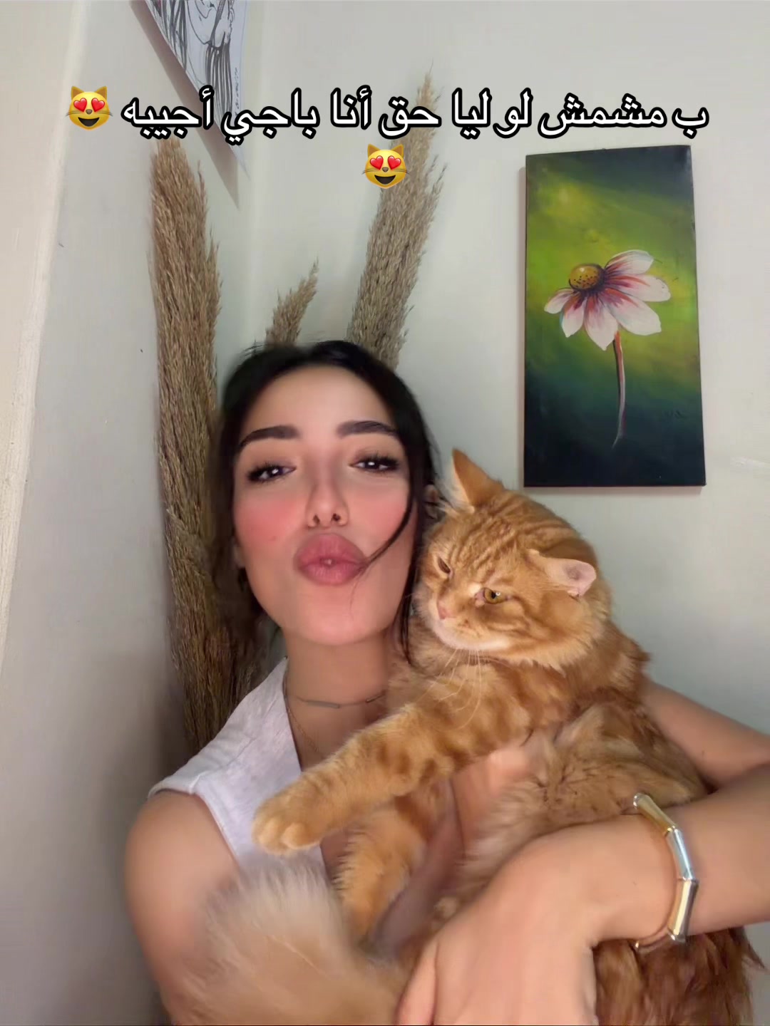 @HabibaElsabagh