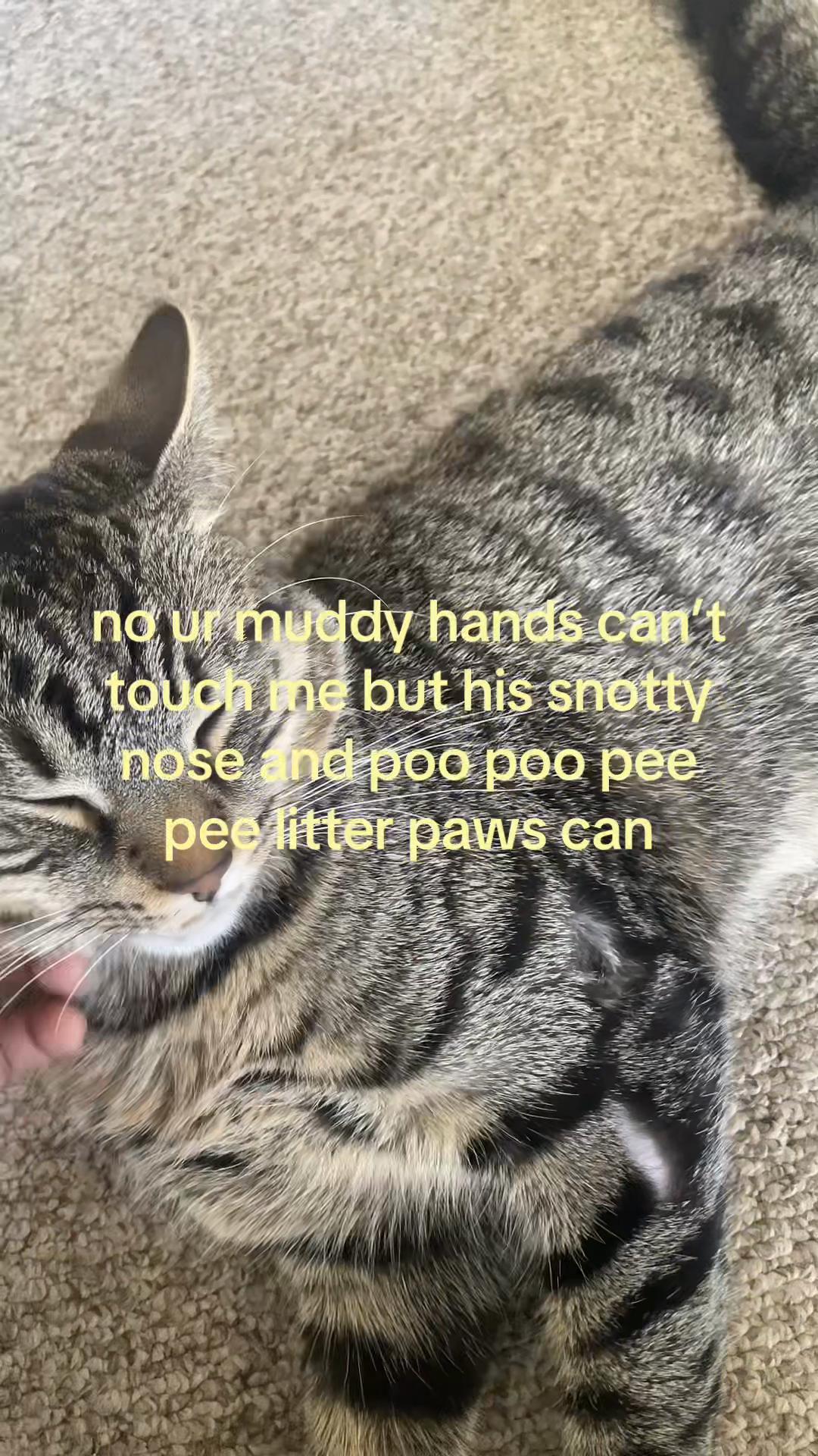 @ohbabyilovecrankama