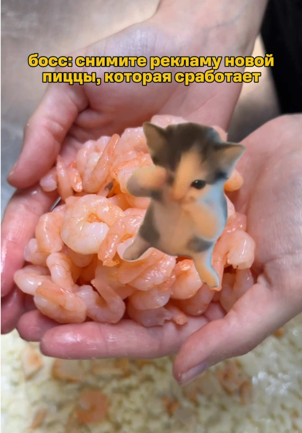 @Додо Пицца Беларусь