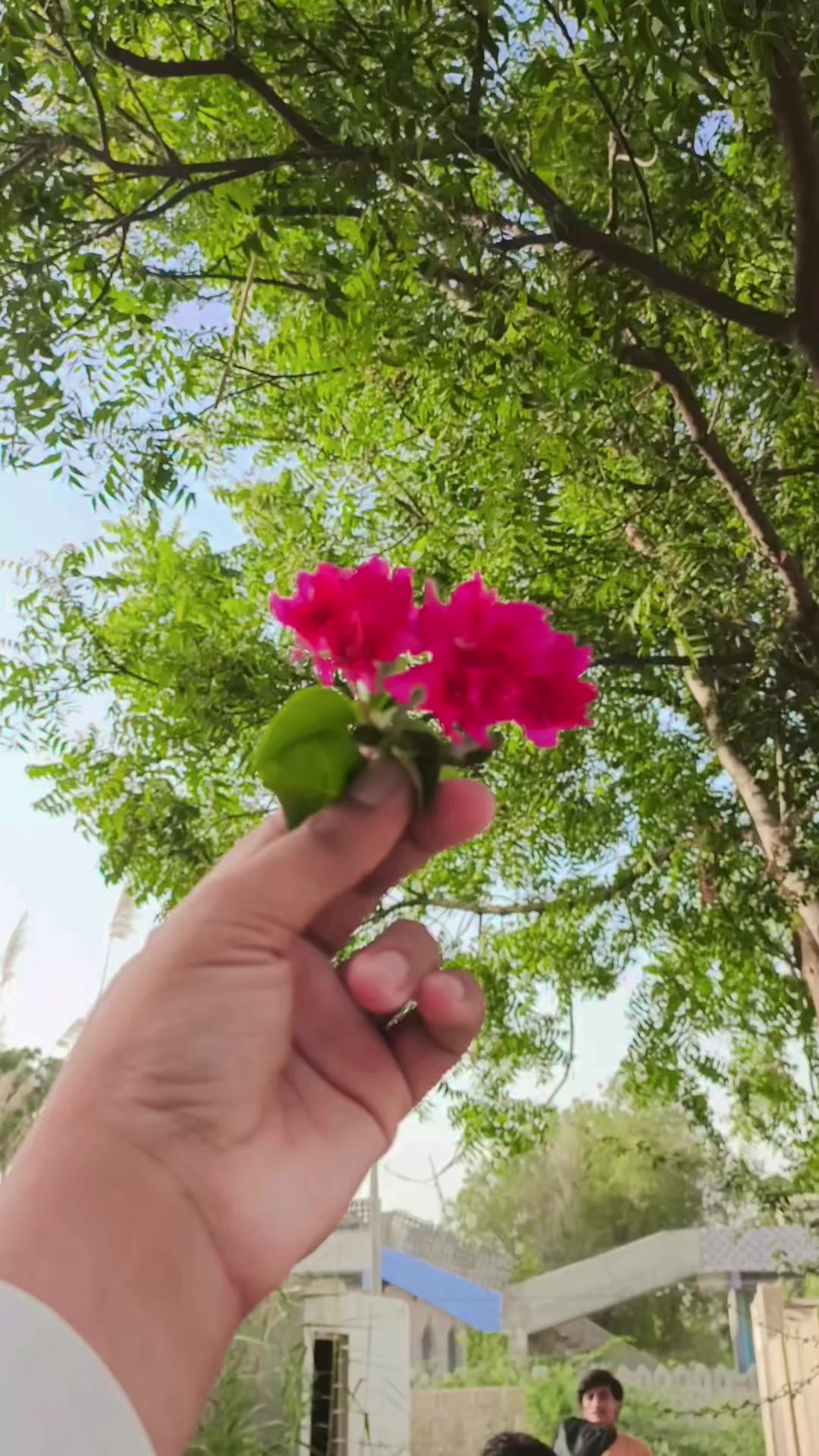 @𝗛𝗔𝗠𝗔𝗗_𝗞𝗔𝗟𝗠𝗔𝗧𝗶 🇩🇯