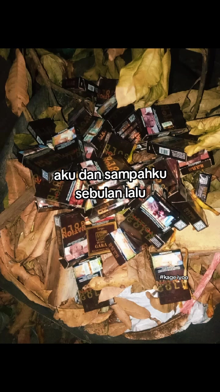 @rhann✨