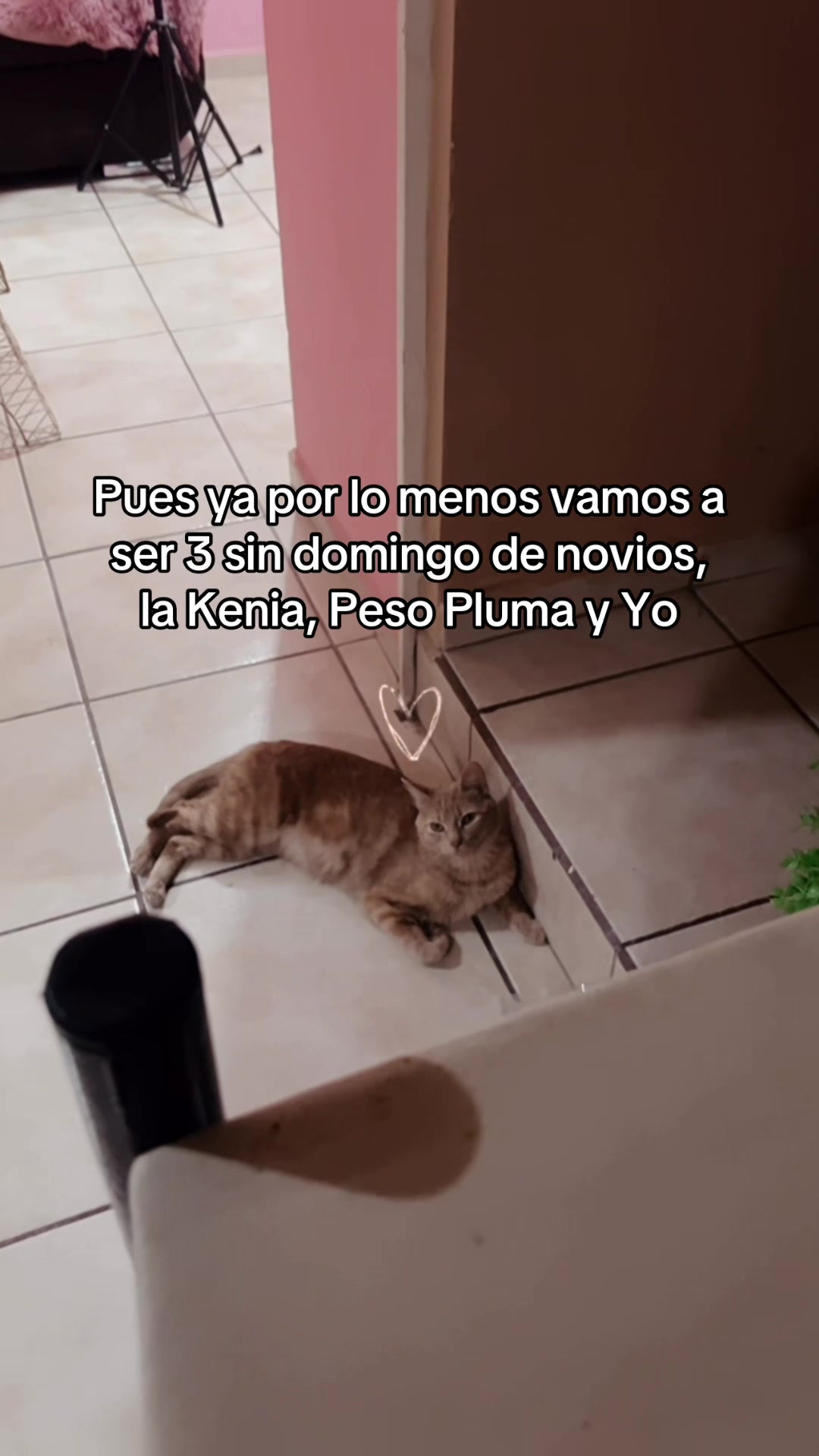 @Paola Granados ✨