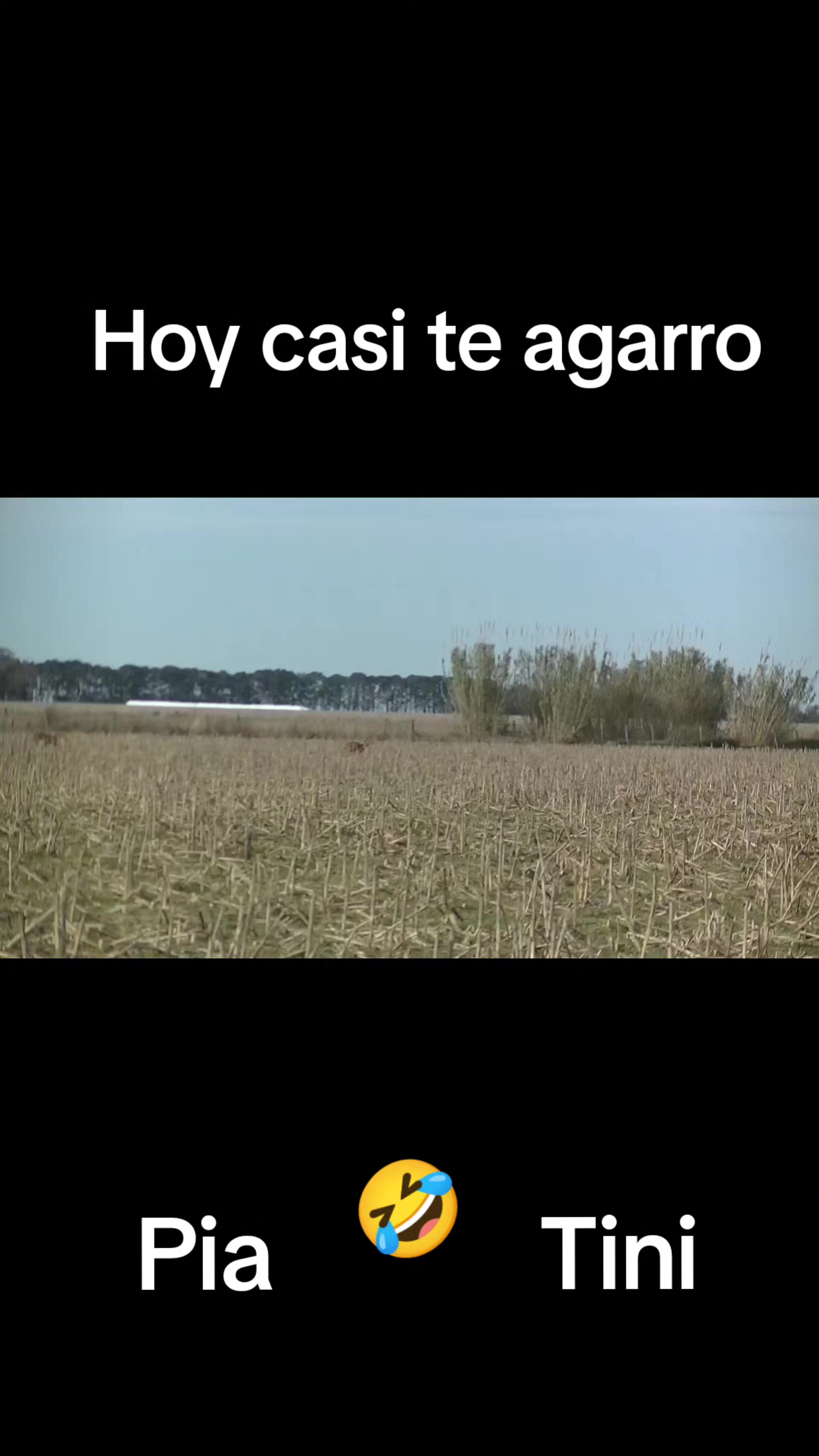 @Eugenio Carignano