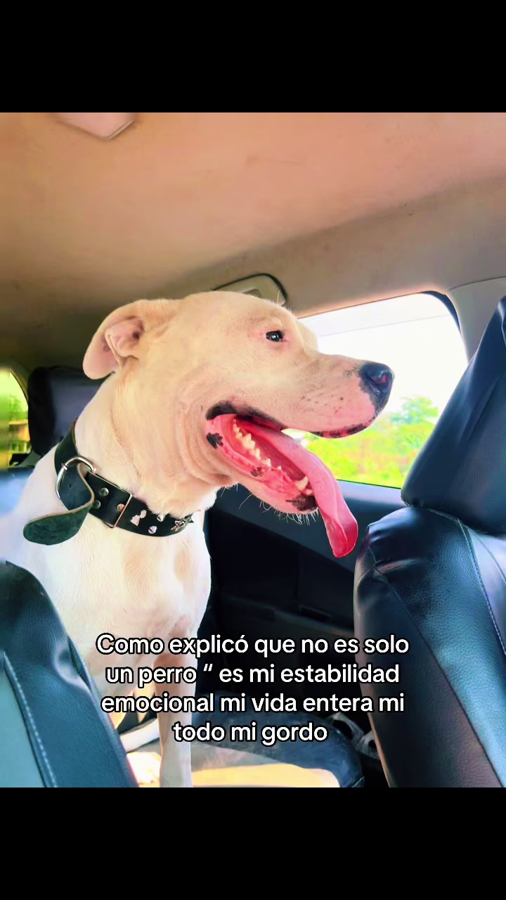 @NÚÑEZ-🍉