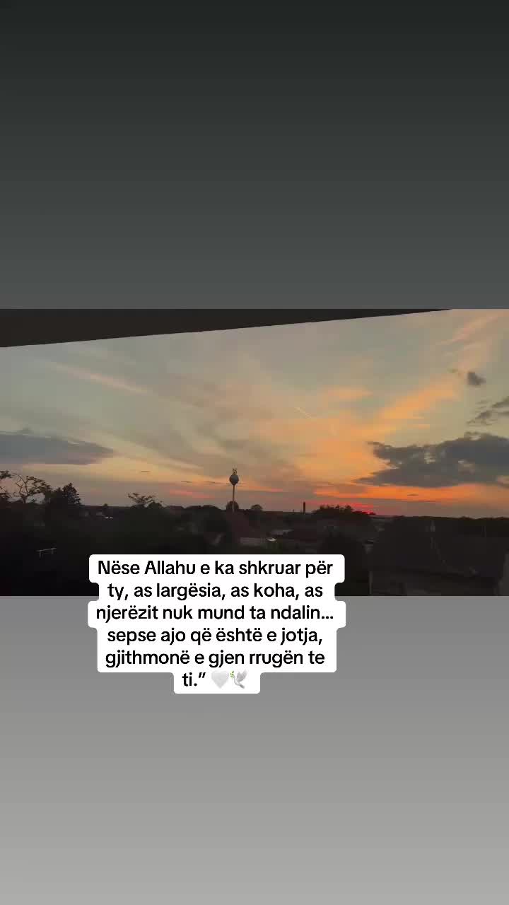 @Shkelzen Asllani