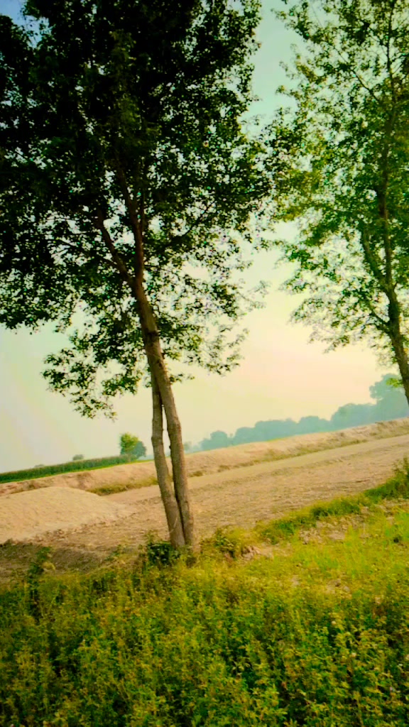 @bhaoji