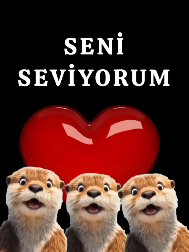 @SHOW İS NAME