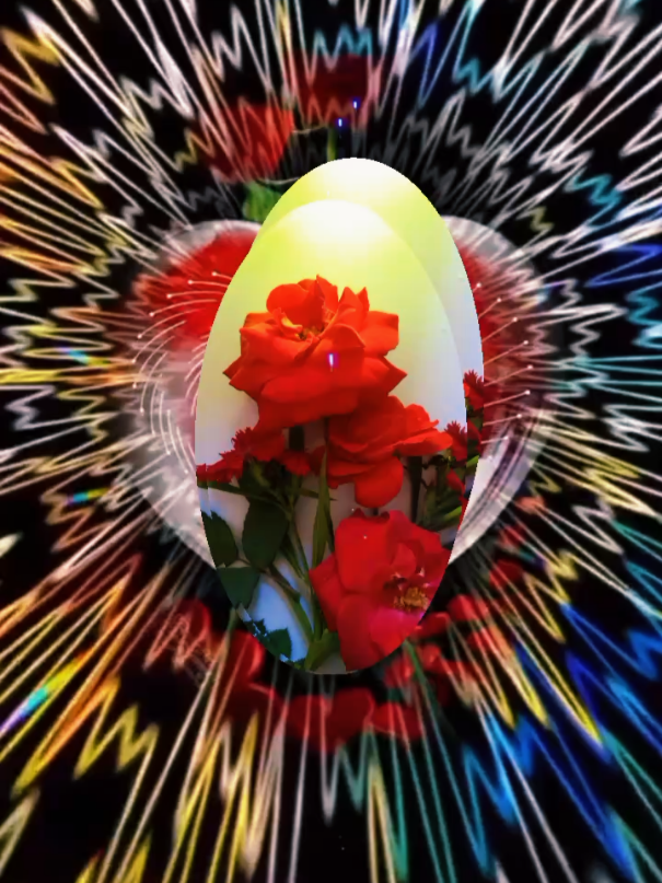 @Nico Fernandes 88
