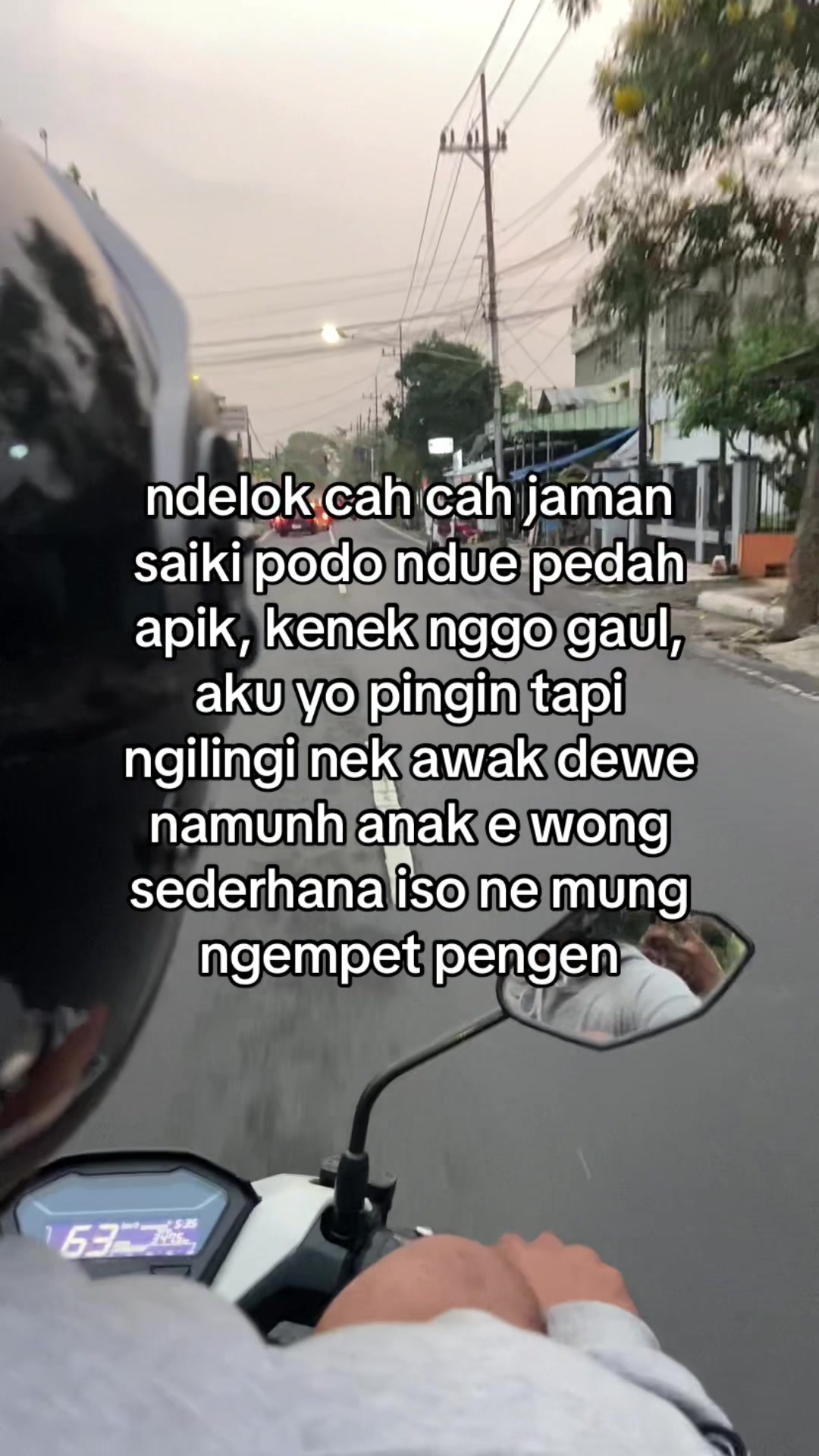 @๐ฟ๐๐ฃ๐ ๐๐ฏ๐๐๐๐ปโ๏ธ