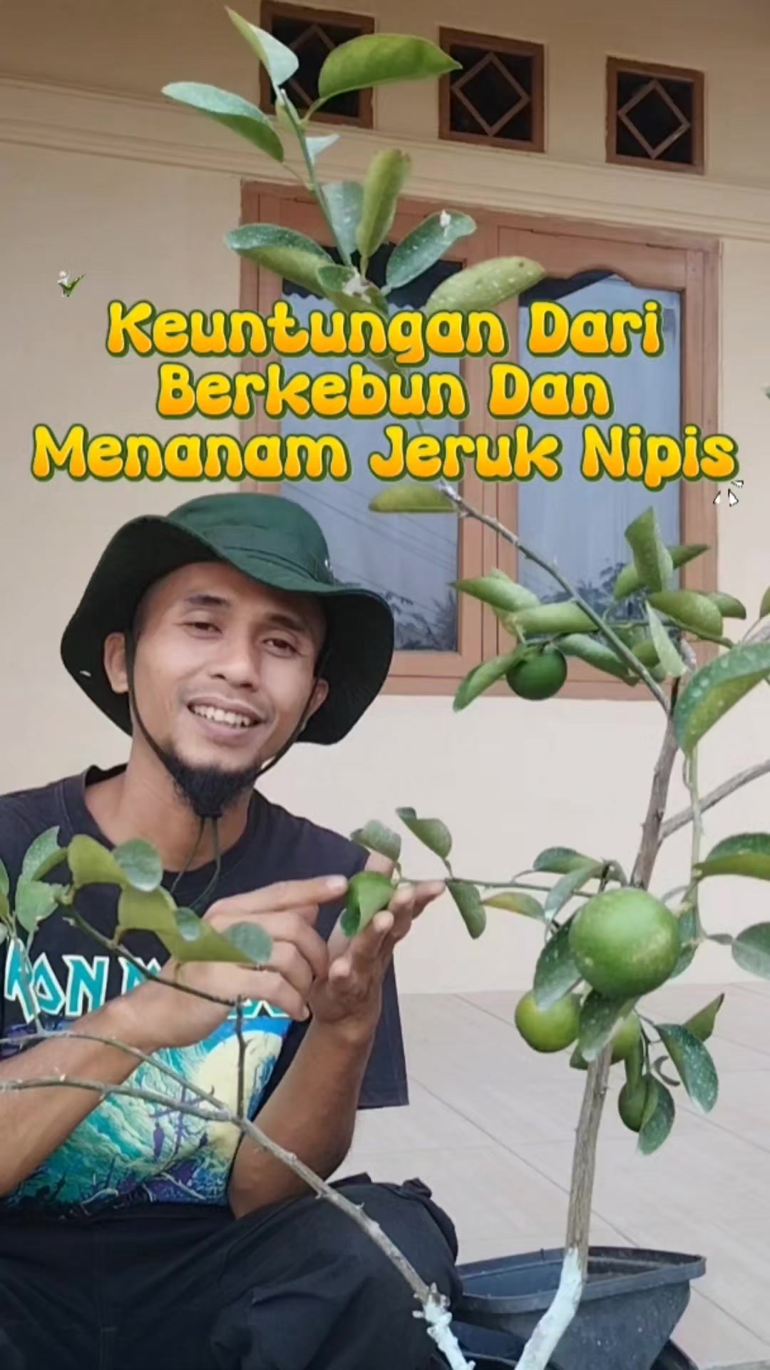 @Bukit Farming