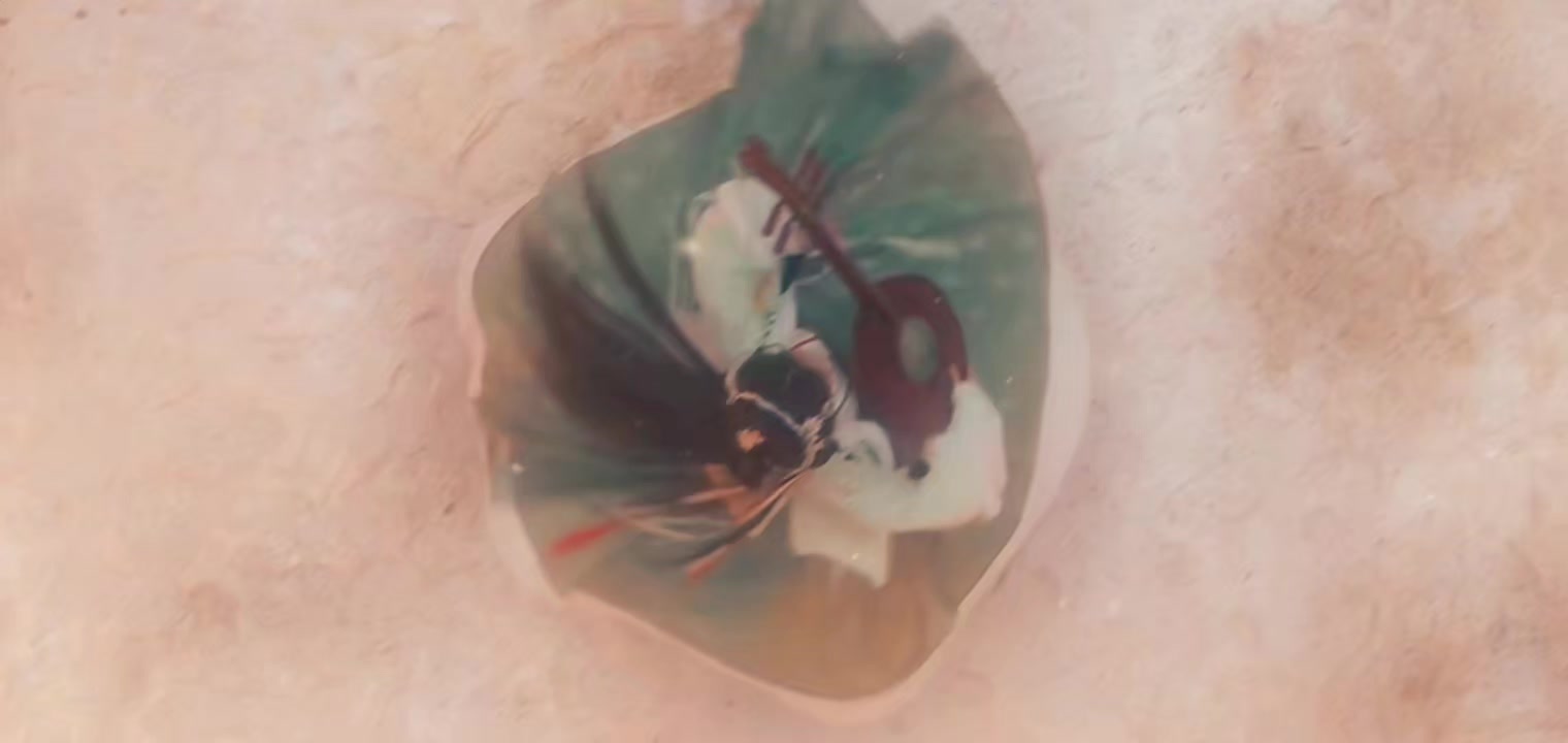 @S&oacute;i T&acirc;y Bắc C&ocirc; Độc Ki&ecirc;u Ngạo🐺