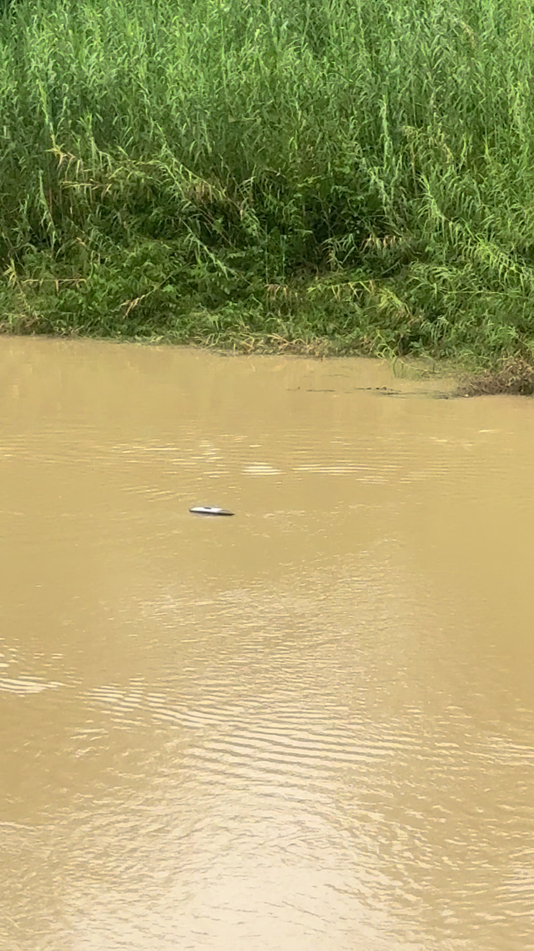 @Reach Fan Hot Rc๐ ๏ธ♥๏ธ