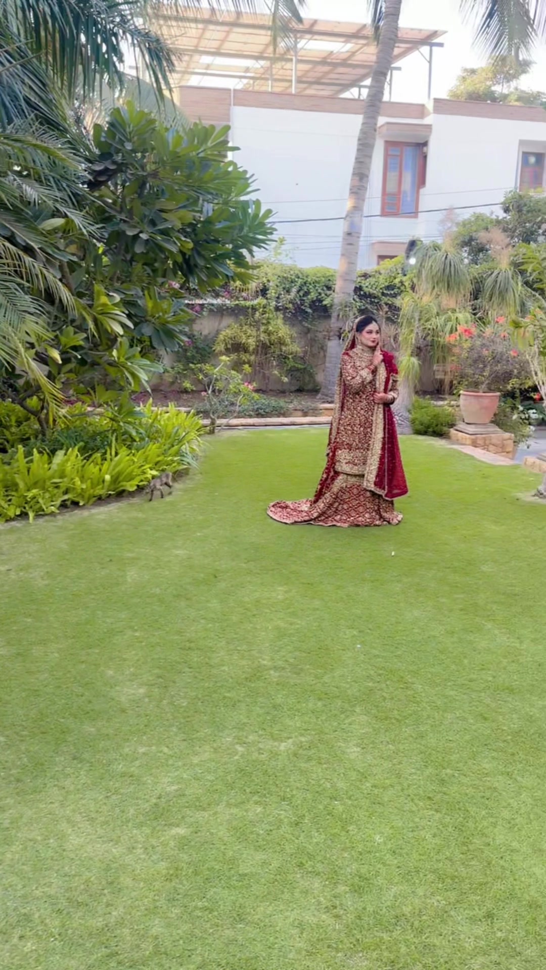 @Sheraz raj