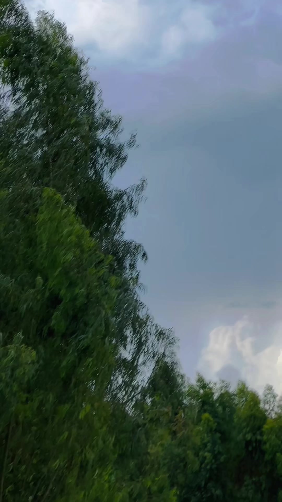 @ملک&ensp;مصور&ensp;اُتراء