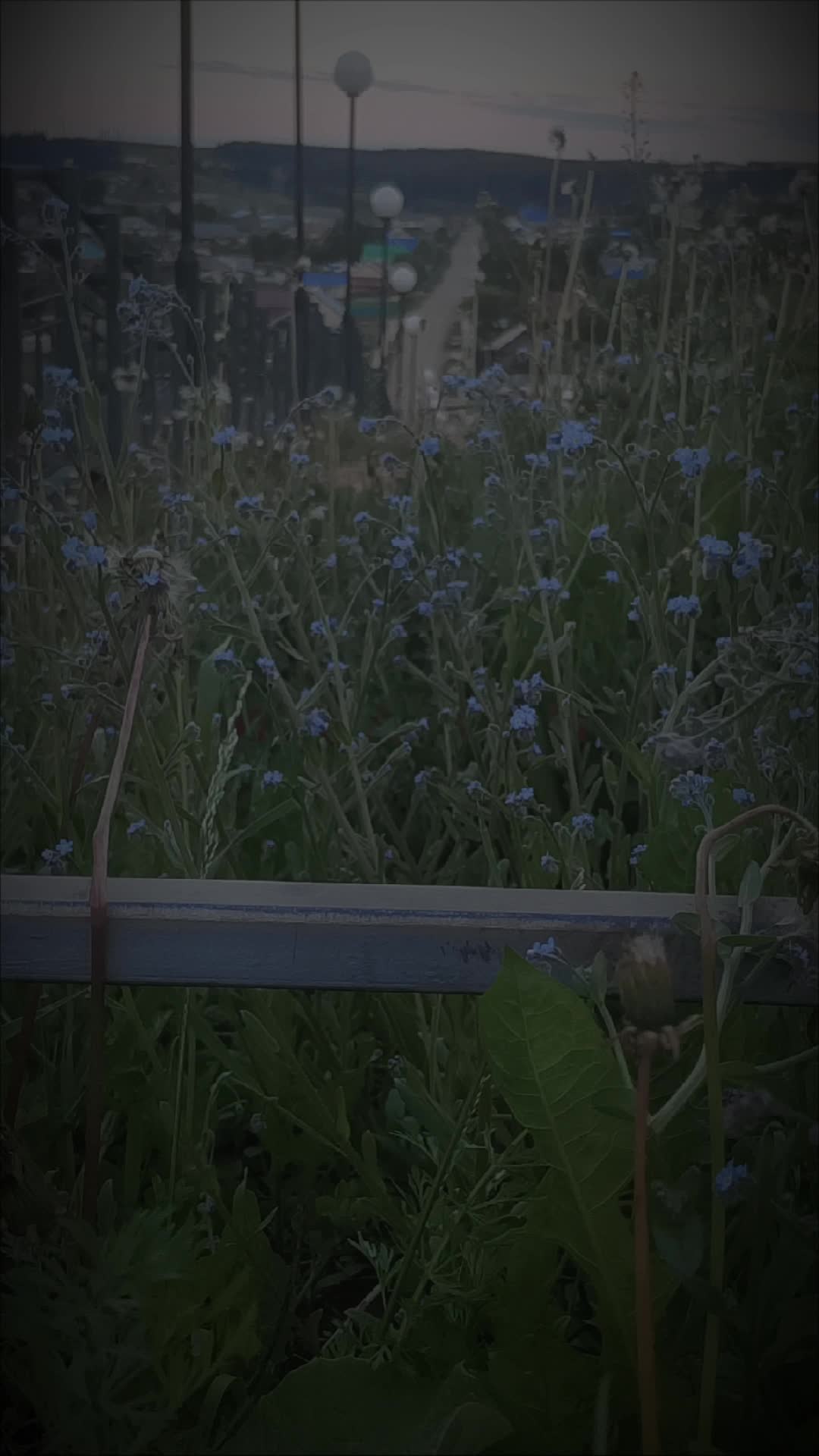 @🥀🥀🥀