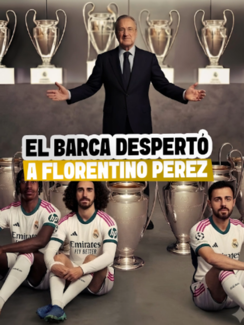 @Leoncito del fútbol ⚽️🦁